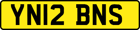 YN12BNS