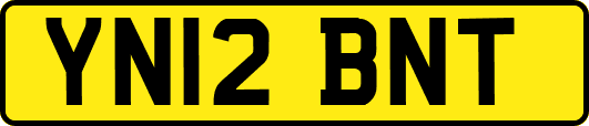 YN12BNT