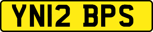 YN12BPS