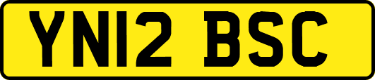 YN12BSC
