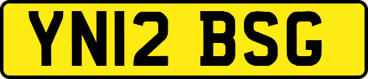 YN12BSG