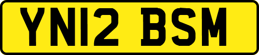 YN12BSM