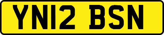 YN12BSN