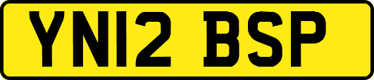 YN12BSP
