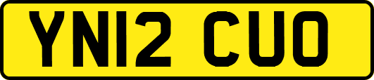 YN12CUO