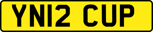YN12CUP