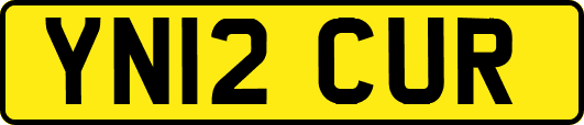 YN12CUR