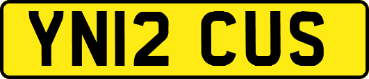YN12CUS