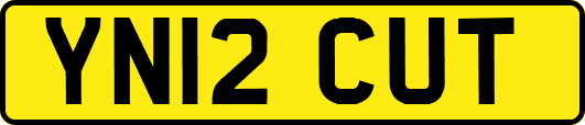 YN12CUT