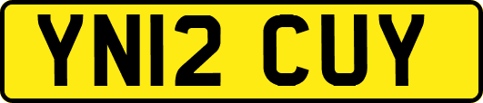 YN12CUY