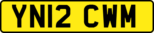 YN12CWM