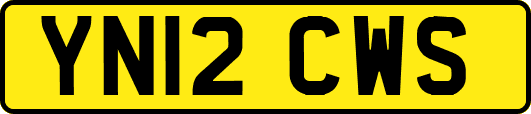 YN12CWS
