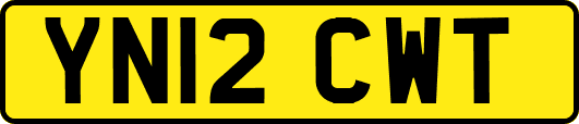 YN12CWT