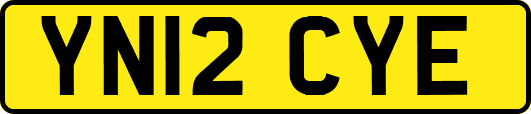 YN12CYE