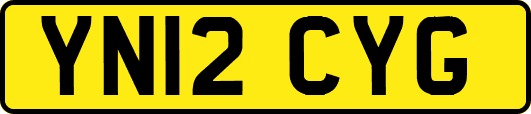 YN12CYG