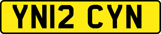 YN12CYN