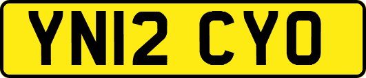 YN12CYO