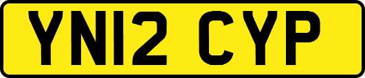 YN12CYP