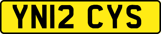 YN12CYS