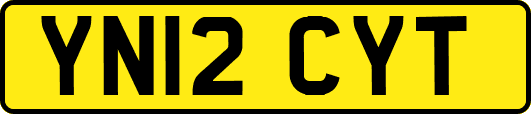 YN12CYT