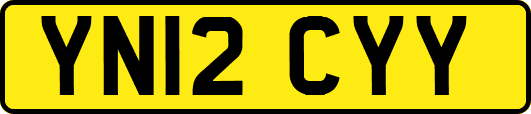 YN12CYY