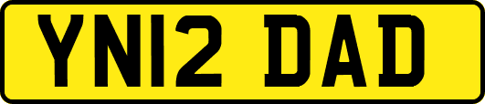 YN12DAD