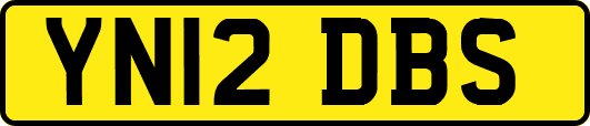 YN12DBS