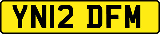 YN12DFM