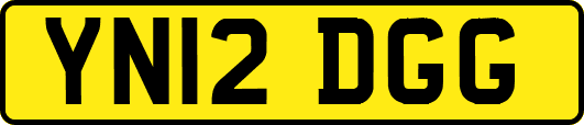 YN12DGG