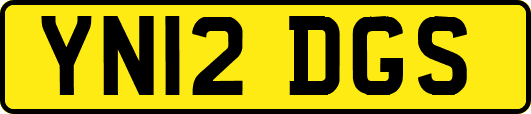 YN12DGS