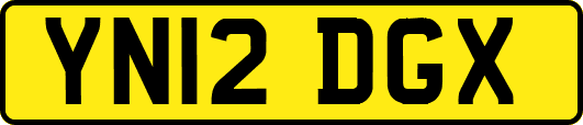 YN12DGX