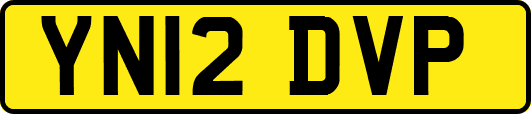 YN12DVP