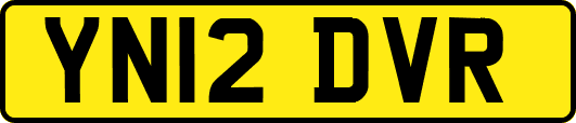 YN12DVR