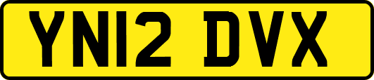 YN12DVX