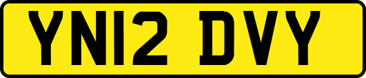 YN12DVY