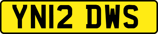 YN12DWS
