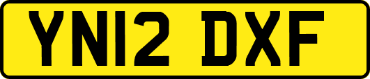 YN12DXF