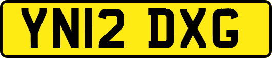 YN12DXG