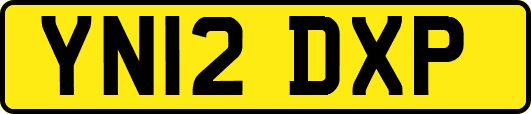 YN12DXP