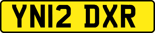 YN12DXR
