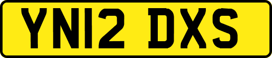 YN12DXS