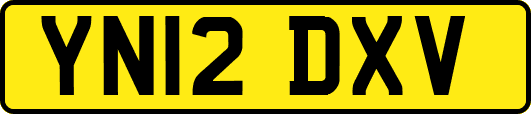 YN12DXV