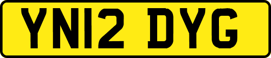 YN12DYG