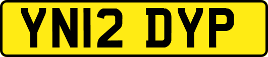 YN12DYP