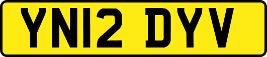 YN12DYV