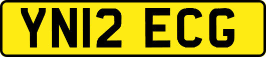 YN12ECG