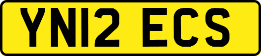 YN12ECS
