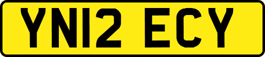 YN12ECY
