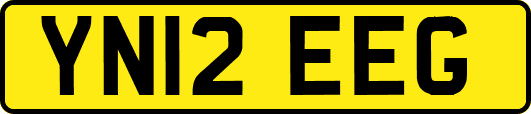 YN12EEG