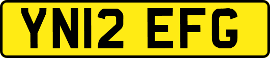 YN12EFG